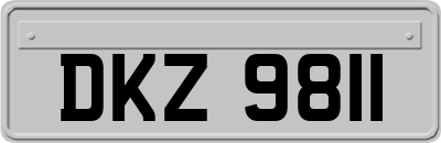 DKZ9811