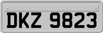 DKZ9823