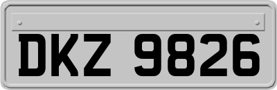 DKZ9826