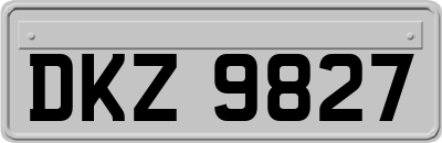 DKZ9827