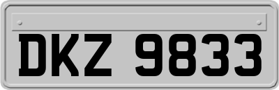 DKZ9833