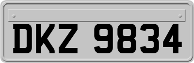 DKZ9834