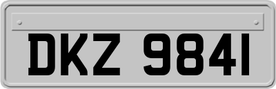 DKZ9841