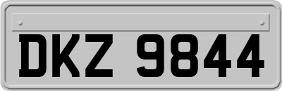 DKZ9844