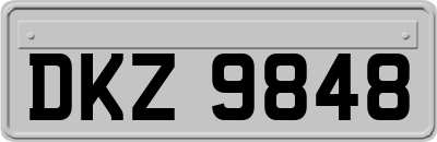 DKZ9848