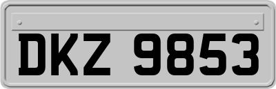 DKZ9853