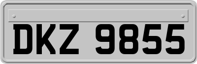 DKZ9855