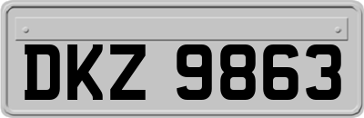 DKZ9863