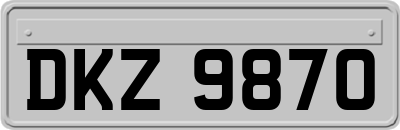 DKZ9870