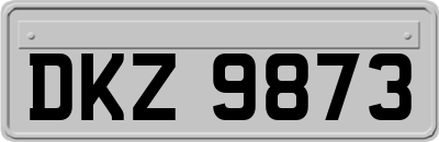 DKZ9873