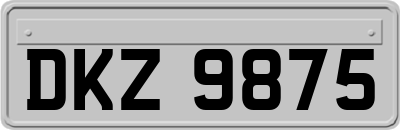 DKZ9875