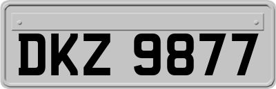 DKZ9877