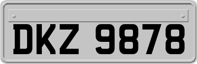 DKZ9878