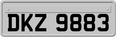DKZ9883