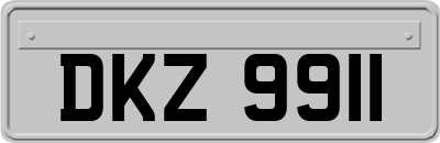 DKZ9911