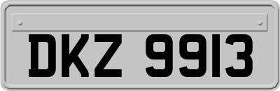 DKZ9913