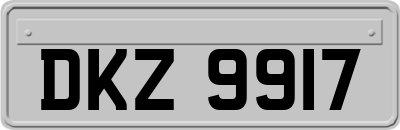 DKZ9917