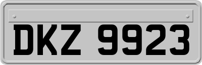 DKZ9923