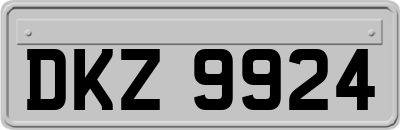 DKZ9924