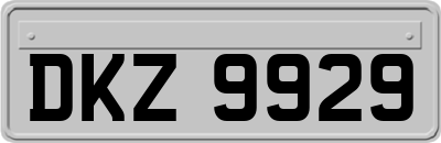 DKZ9929