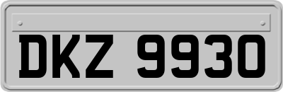DKZ9930