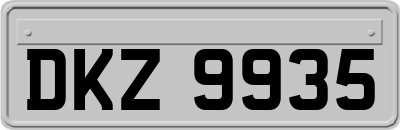 DKZ9935