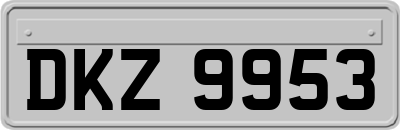 DKZ9953