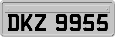 DKZ9955