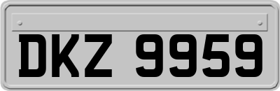 DKZ9959