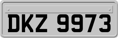 DKZ9973