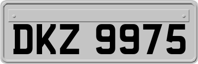 DKZ9975