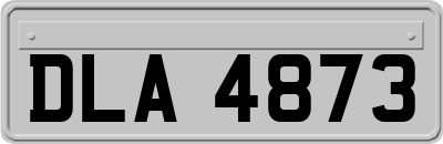 DLA4873