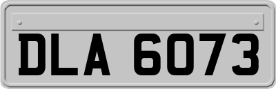 DLA6073