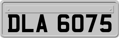 DLA6075