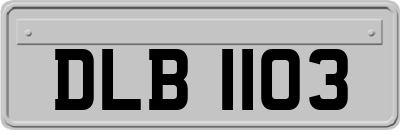 DLB1103
