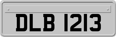 DLB1213