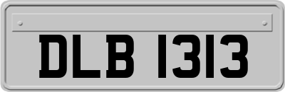 DLB1313