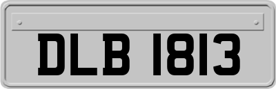 DLB1813