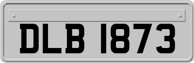 DLB1873