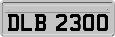 DLB2300