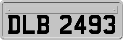DLB2493