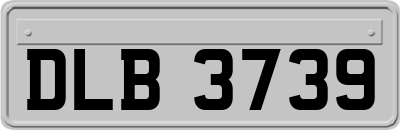 DLB3739