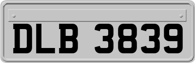 DLB3839