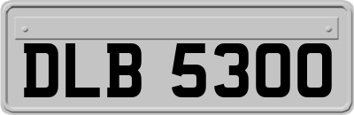 DLB5300