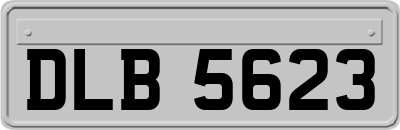 DLB5623