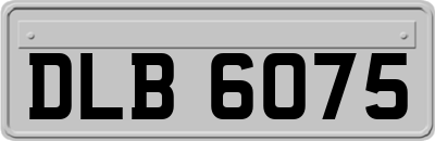 DLB6075