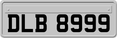 DLB8999