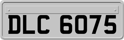 DLC6075