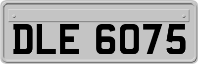DLE6075