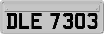 DLE7303